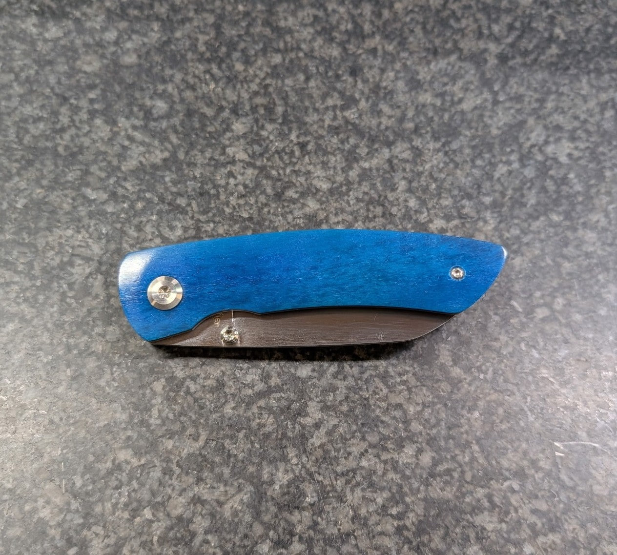Blue Camel Bone Liner Lock Folding Knife
