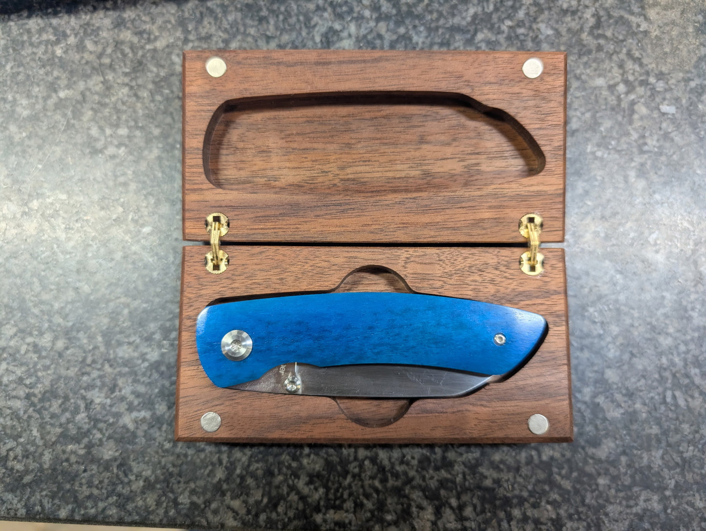 Blue Camel Bone Liner Lock Folding Knife