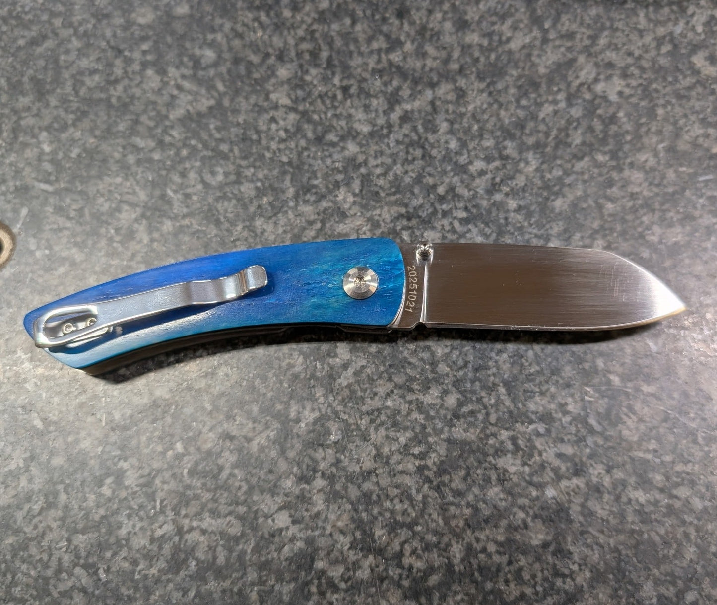 Blue Camel Bone Liner Lock Folding Knife